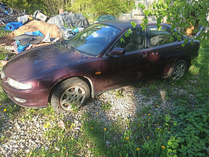Xedos 6 tervikuna või juppideks (2 foto / 9)