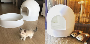 Disaini Kassiliivakast Igloo (2 foto / 2)
