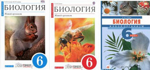 Новый учебник (3 фото из 3)