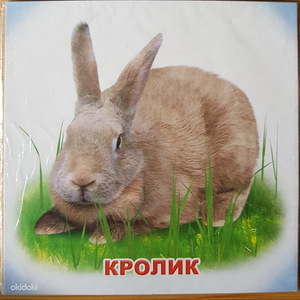 Новые карточки (1 фото из 3)