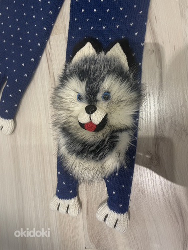 Sall Husky