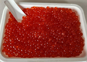 Salmon Chum Keta (5 foto / 6)