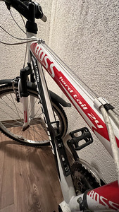 BOTTECCHIA BOSS 488, 24” (2 foto / 9)