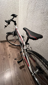 BOTTECCHIA BOSS 488, 24” (3 foto / 9)