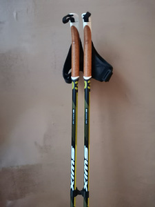 Suusakepid Swix Carbon 100% (1 foto / 4)