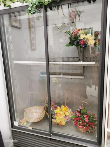 Продам холодильник для цветов Caravell (фото #1)