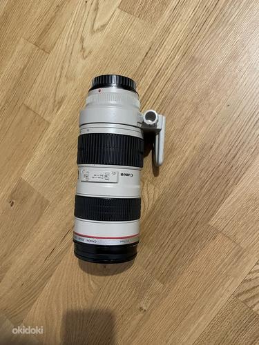 Canon EF 70-200mm f/2.8L USM (фото #3)