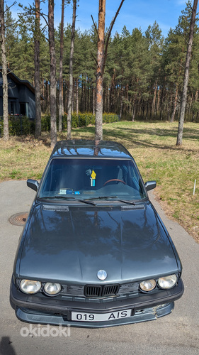 BMW 520 e28 (фото #3)