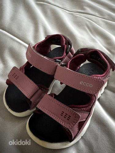 ECCO BIOM RAFT BLUSH/ MORILLO