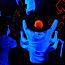 UV Led riba (foto #1)