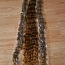 Волосы для наращивания 3 лота (делают на крючок) (фото #3)