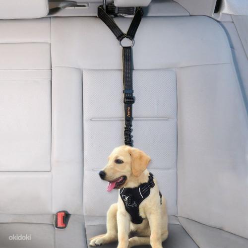 Ремень безопасности для собак в машину, новый (фото #1)