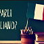 Itaalia keele eraõpe algajatele (foto #1)