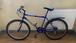 Jalgratas 26’