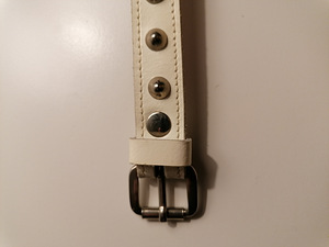 Koera kaelarihm 45cm (2 foto / 3)