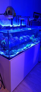 Mereakvaarium 600l (1 foto / 8)