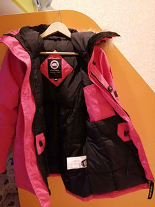 Canada goose (3 foto / 6)