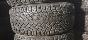 TALVEREHVID / M+S / NOKIAN / 225 55 R17 (4 foto / 6)