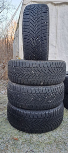 TALVEREHVID / M+S / GOODYEAR / 225 50 R17 (4 foto / 6)