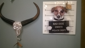 Pilt Bad dog klaasist (2 foto / 2)