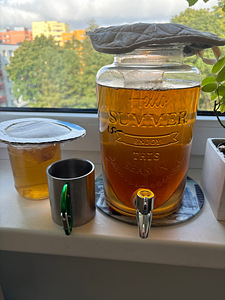 Kombucha (2 foto / 2)