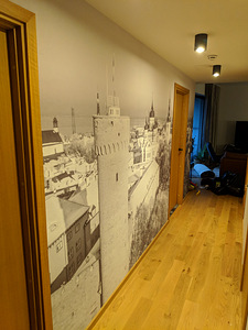 Maalri ja tapeedi paigaldus tööd (7 foto / 7)