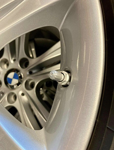 BMW veljed suverehvidega + rehvirõhuandurid (6 foto / 8)