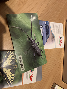 Laste entsüklopeedia piltides (2 foto / 3)