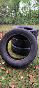 R14 naast rehvid (6 foto / 6)