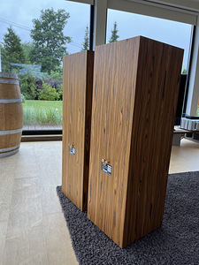 Vivo Audio Design VS-20 lairibakõlarid (2 foto / 2)