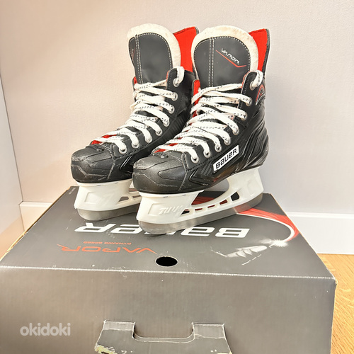 Bauer 33.5
