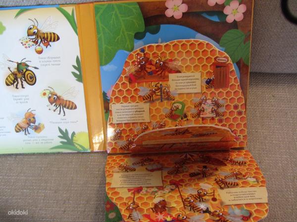 Улей. Как живут пчёлы? новая (фото #6)