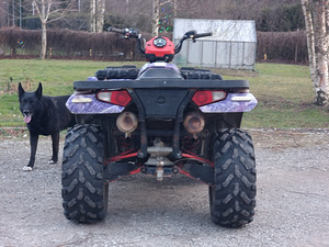 Polaris Sportsman 800 HO EFI 2008a (3 foto / 8)