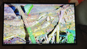 Samsung ME46C 46” digiekraanid/teler/TV (6 foto / 6)