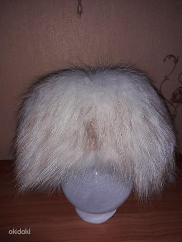 Karvamüts arktiline rebane (foto #1)