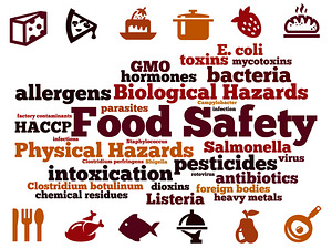 План самоконтроля для пищивого безнеса / HACCP PLAN (1 фото из 3)