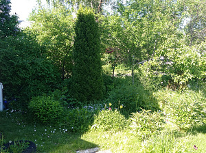 Pingviini tn 41, Veekulgu, Narva, Ida-Virumaa (3 foto / 3)