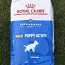 Корм для собак Royal Canin Maxi Puppy 20 kg (фото #1)