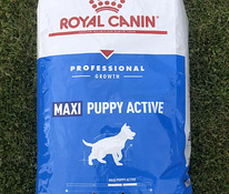 Koeratoit Royal Canin Maxi Puppy 20 kg