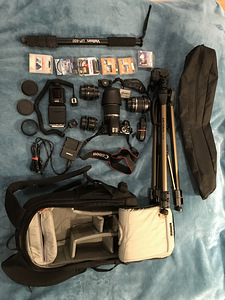 Canon 450+ (1 фото из 3)