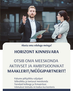Kinnisvaramaakler (1 foto / 1)