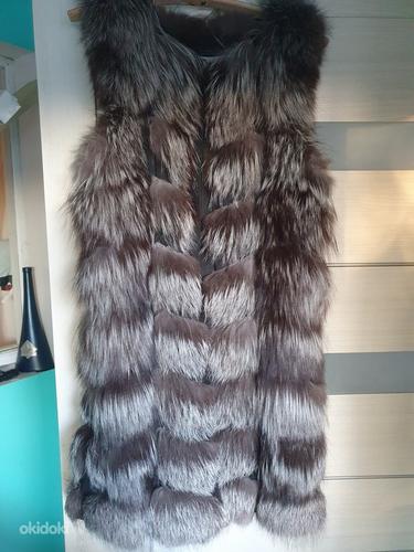 Vest hõberebane