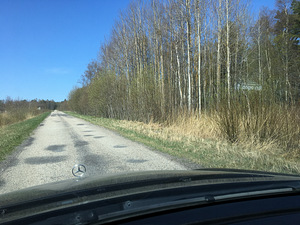 Oru tee 4 Liikva Harku vald 7.54 ha (4 foto / 10)