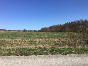 Oru tee 4 Liikva Harku vald 7.54 ha (7 foto / 10)