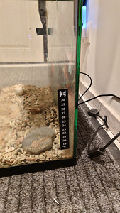 Juwel akvaarium 65L (2 foto / 4)