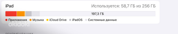 iPad Pro 11" 2022 256GB WiFi + Cellular Silver (фото #4)