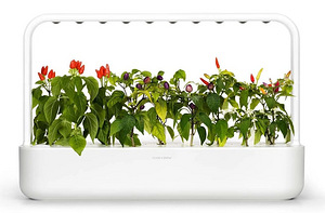 Nutikas lillepott Click & Grow Smart (1 foto / 3)