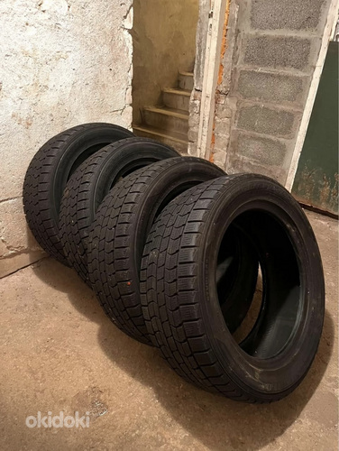 Шины Dunlop Graspic DS-3 с ламелями