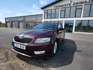 Škoda Octavia Combi 1,6TDI 77kw 7DSG (1 foto / 10)