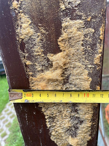 2 tumepruuni täispuit ust 187 x 67 x 12cm (10 foto / 10)